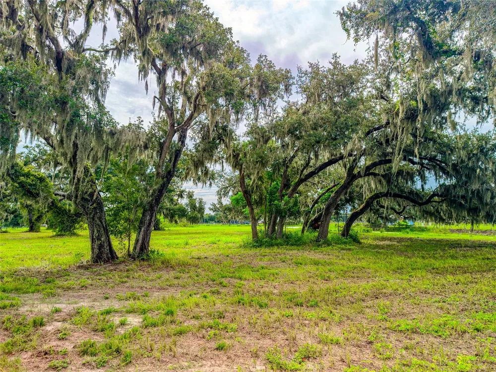 26217 39TH PLACE E Myakka City, FL 34251