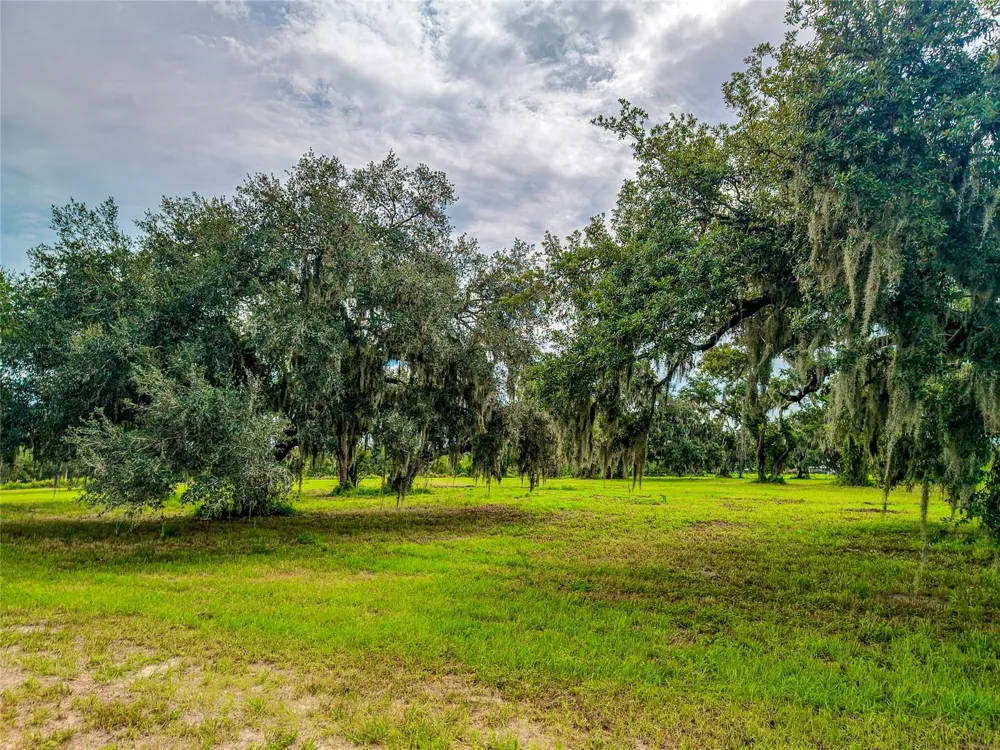 26217 39TH PLACE E Myakka City, FL 34251