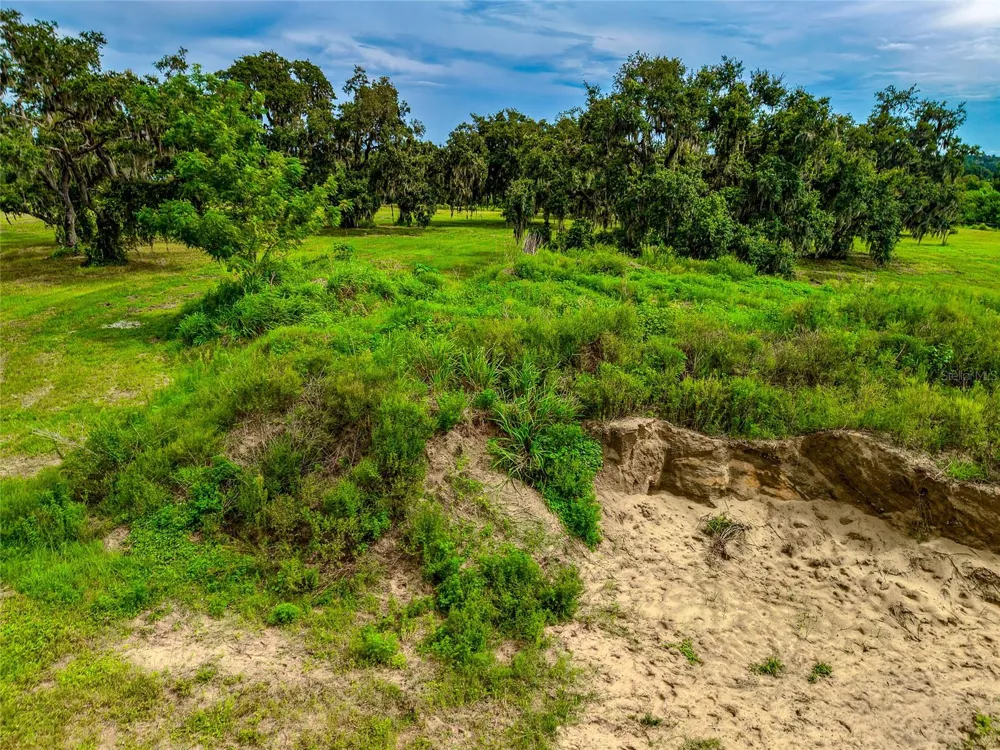 26217 39TH PLACE E Myakka City, FL 34251