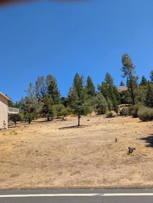 773 Dogwood Drive Murphys, CA 95247