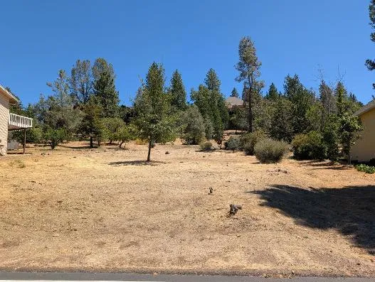773 Dogwood Drive Murphys, CA 95247