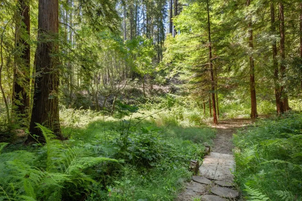 14515 Big Basin Way Boulder Creek, CA 95006