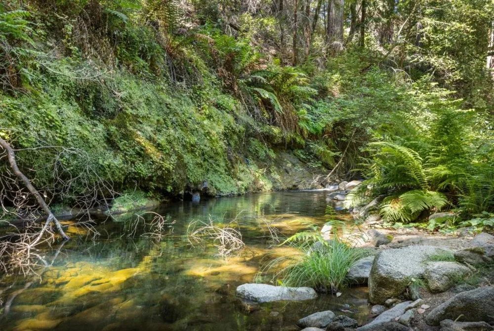 14515 Big Basin Way Boulder Creek, CA 95006