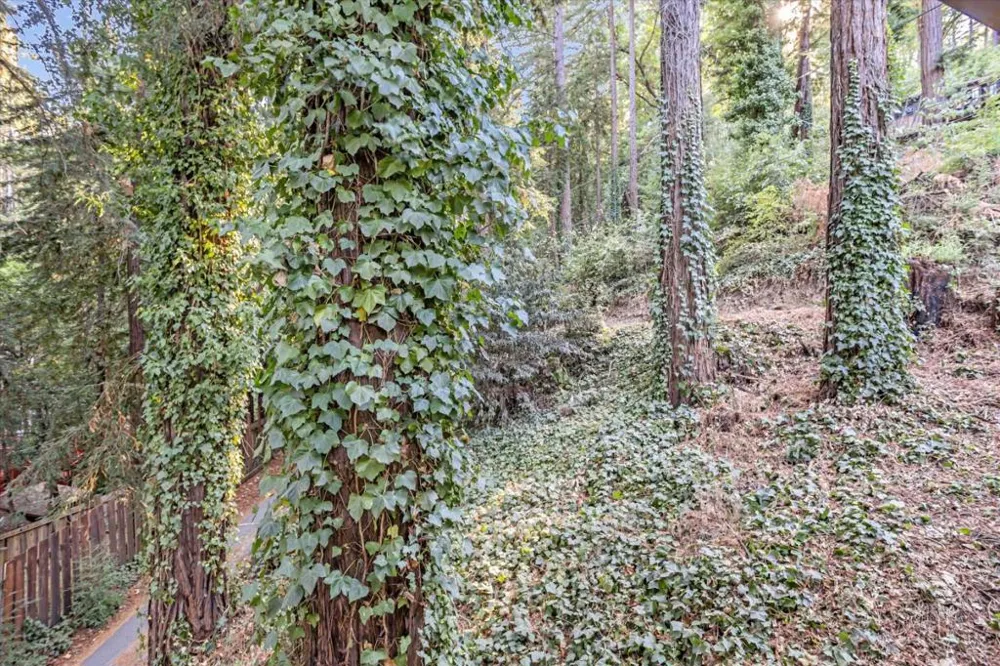 1045 Forest Way Brookdale, CA 95007