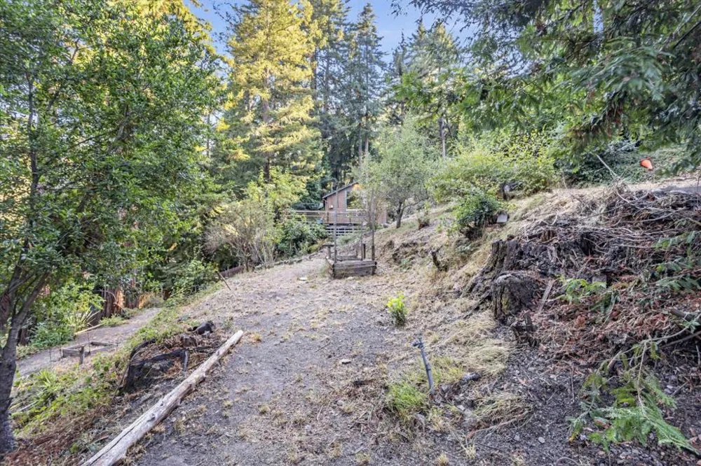 1045 Forest Way Brookdale, CA 95007