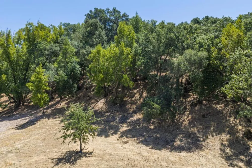 2596 Hidden Valley Lane Napa, CA 94558