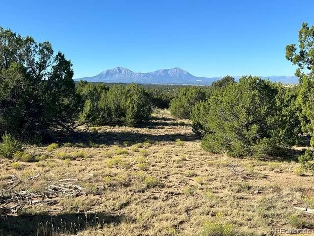 12 City Ranch Property Walsenburg, CO 81089