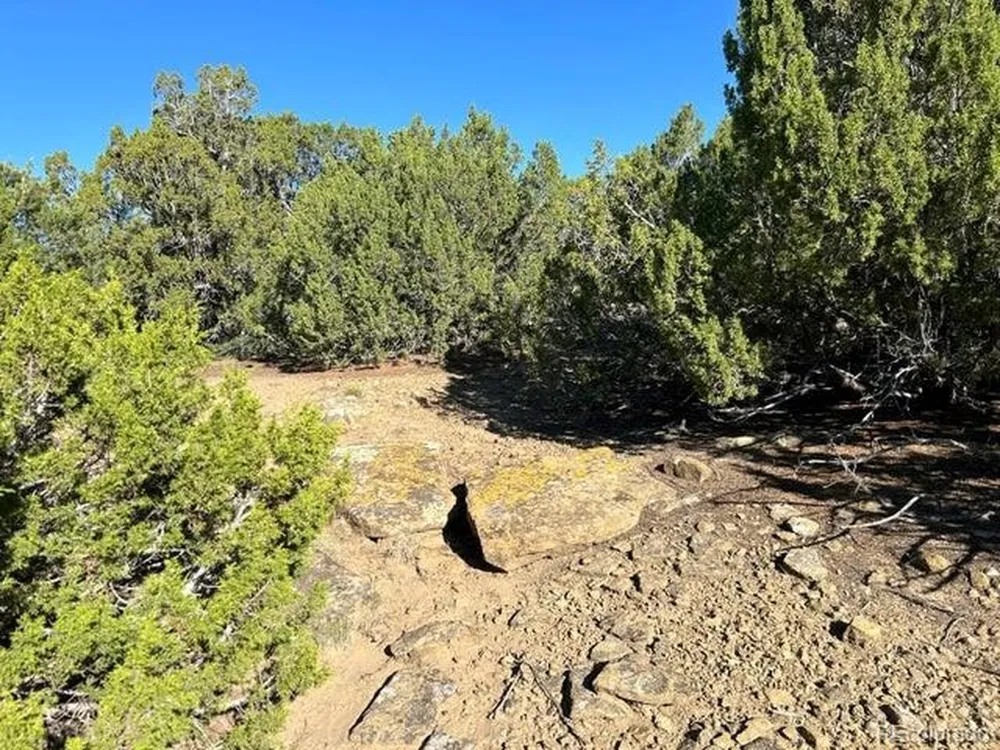 12 City Ranch Property Walsenburg, CO 81089