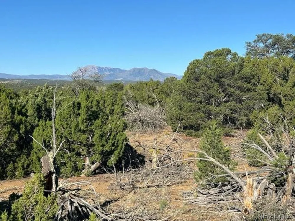 12 City Ranch Property Walsenburg, CO 81089