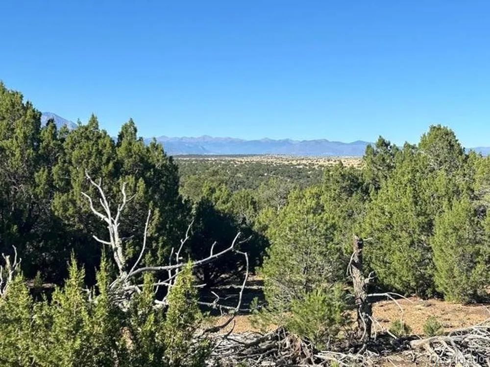 12 City Ranch Property Walsenburg, CO 81089