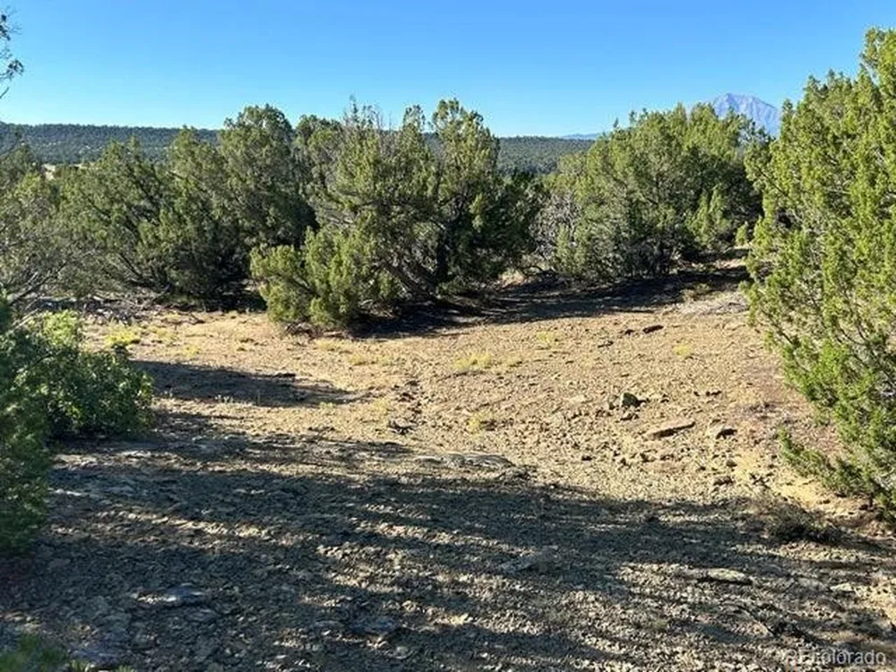 12 City Ranch Property Walsenburg, CO 81089
