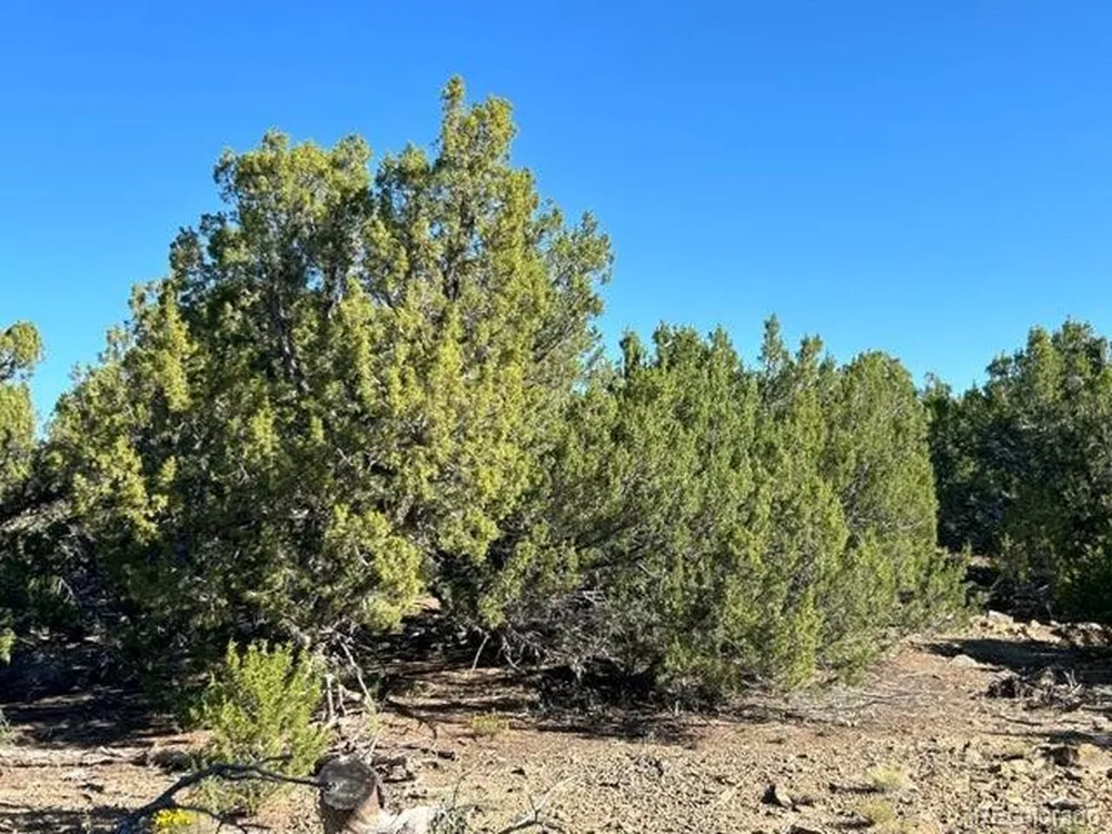 12 City Ranch Property Walsenburg, CO 81089