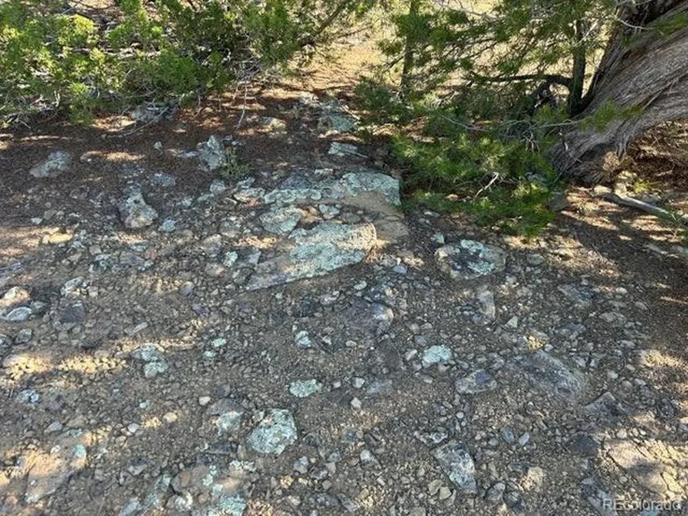 12 City Ranch Property Walsenburg, CO 81089