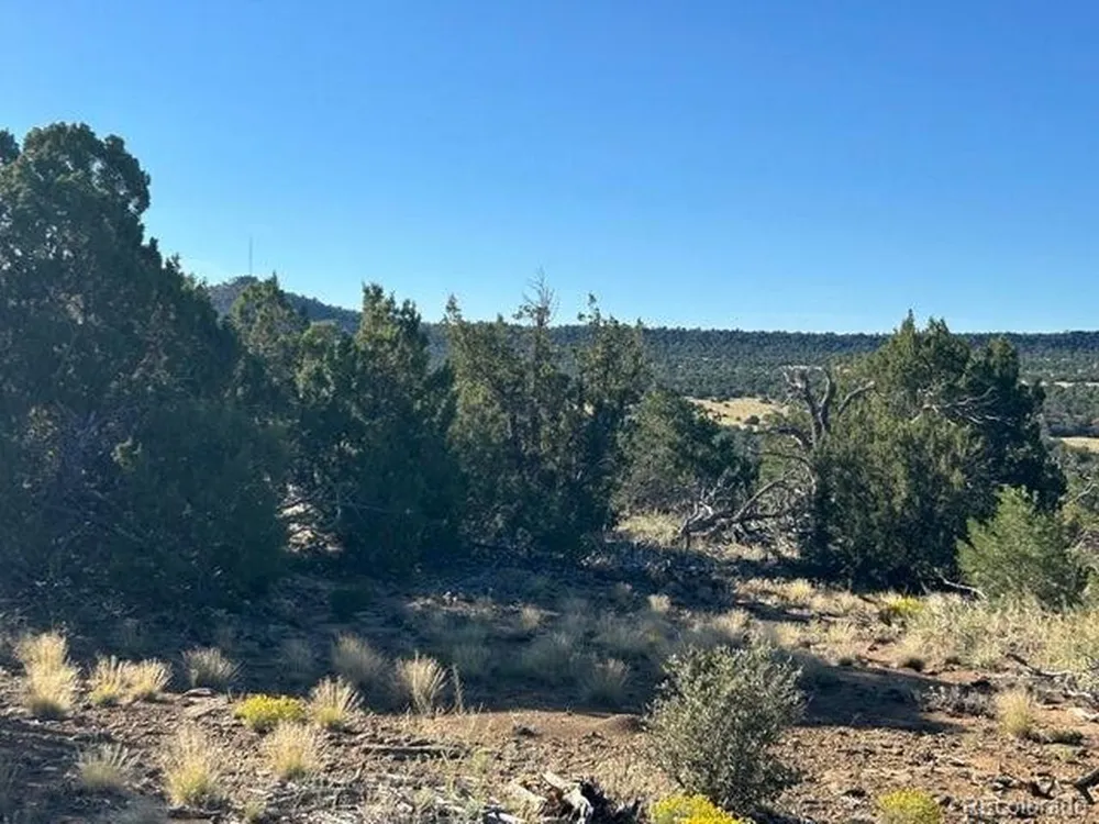 12 City Ranch Property Walsenburg, CO 81089