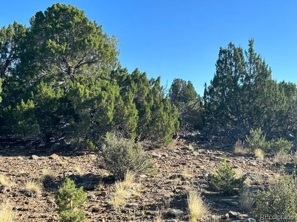 12 City Ranch Property Walsenburg, CO 81089
