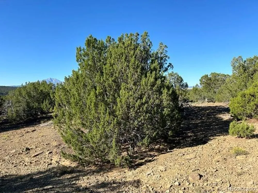 12 City Ranch Property Walsenburg, CO 81089