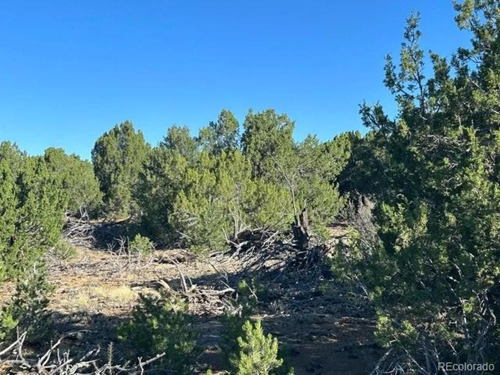 12 City Ranch Property Walsenburg, CO 81089