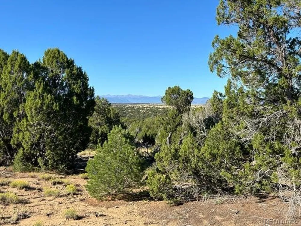 12 City Ranch Property Walsenburg, CO 81089