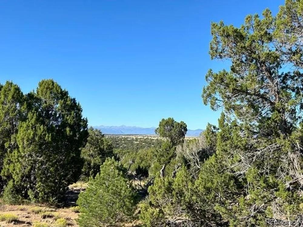 12 City Ranch Property Walsenburg, CO 81089