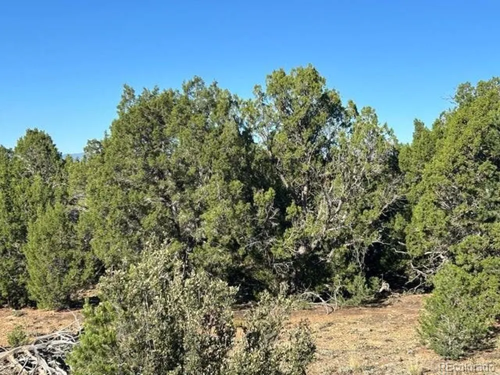 12 City Ranch Property Walsenburg, CO 81089