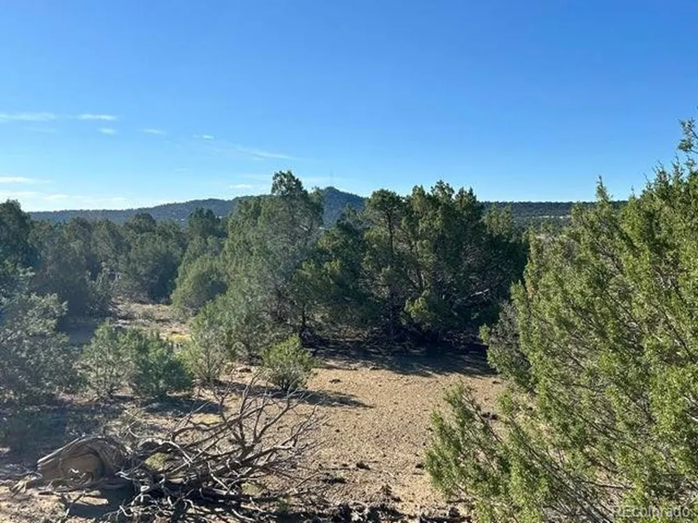 12 City Ranch Property Walsenburg, CO 81089