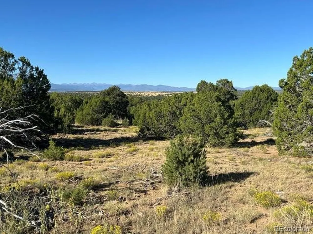 12 City Ranch Property Walsenburg, CO 81089