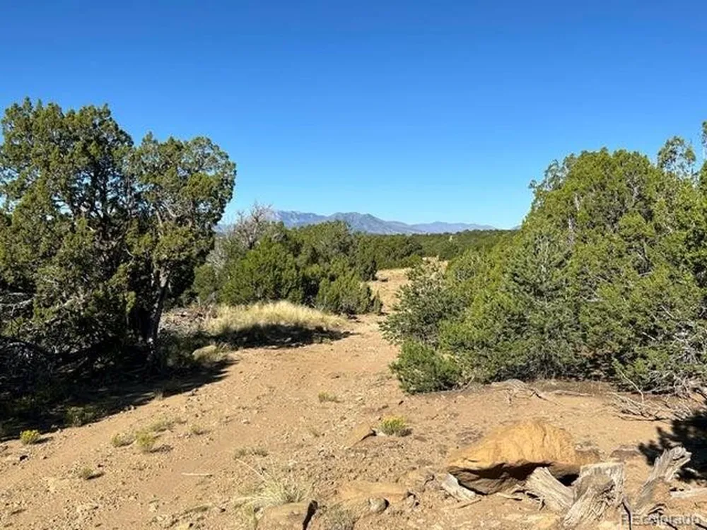 12 City Ranch Property Walsenburg, CO 81089