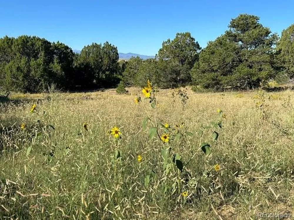 12 City Ranch Property Walsenburg, CO 81089