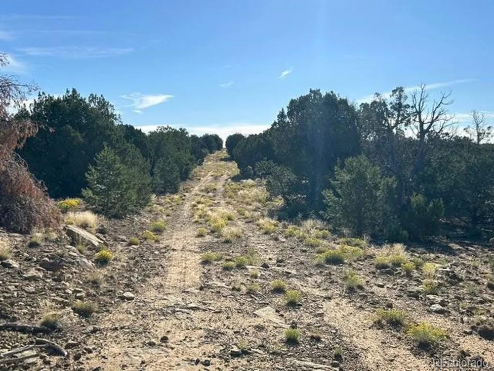 12 City Ranch Property Walsenburg, CO 81089