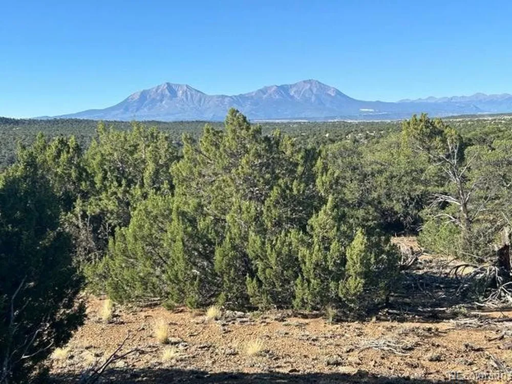 12 City Ranch Property Walsenburg, CO 81089