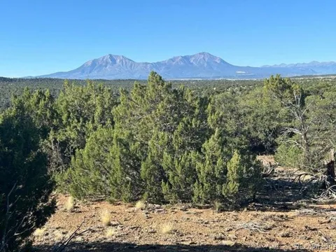 12 City Ranch Property
