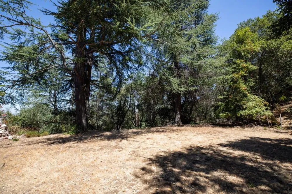 11450 Summit Wood Road Los Altos Hills, CA 94022