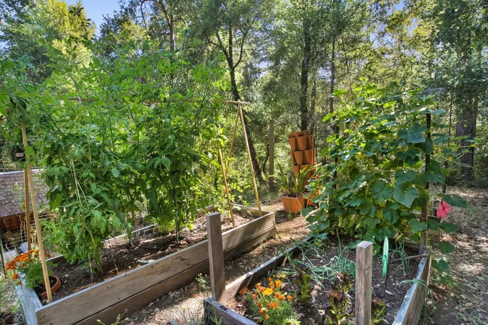 15 Heritage Road La Honda, CA 94020