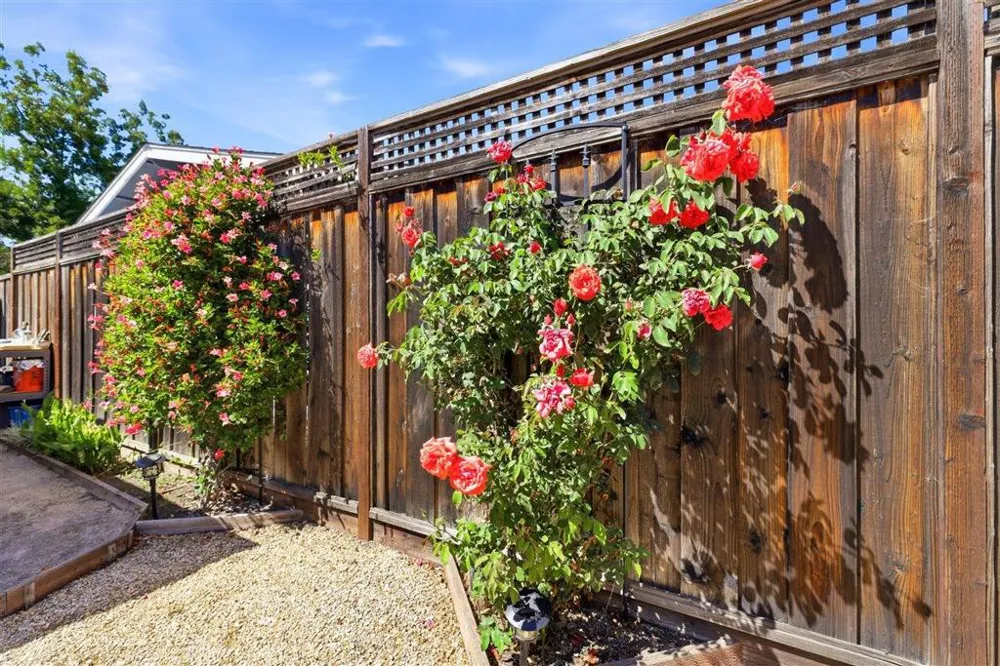 4336 Cahill Street Fremont, CA 94538