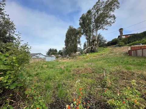 Sunshine Valley Road
