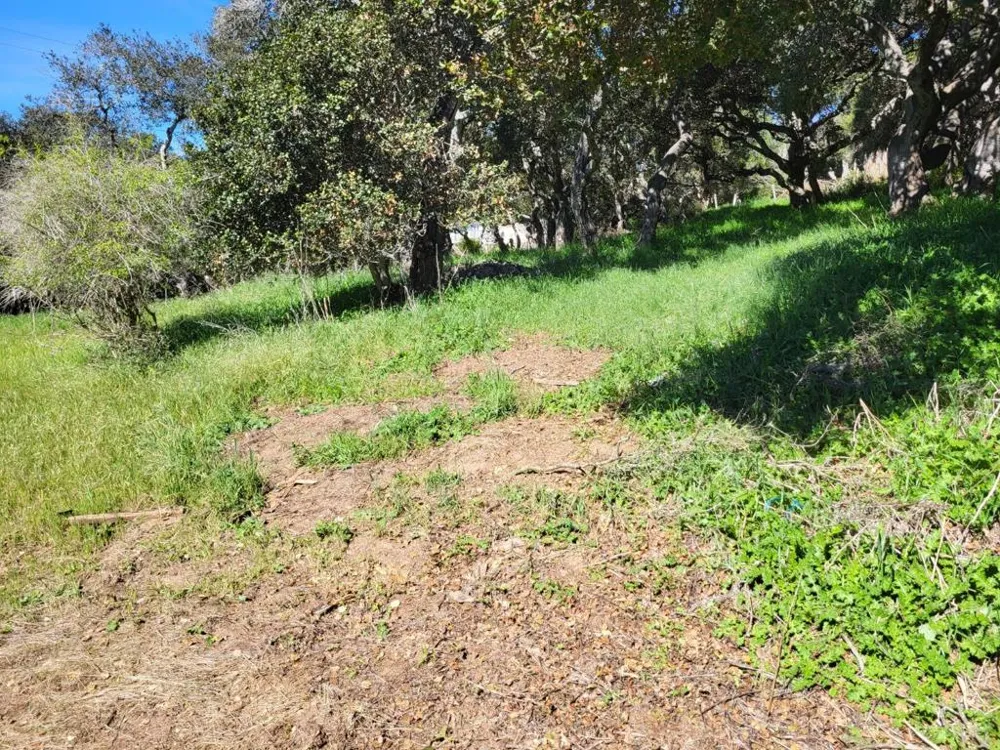 14641 Tumble Weed Lane Royal Oaks, CA 95076