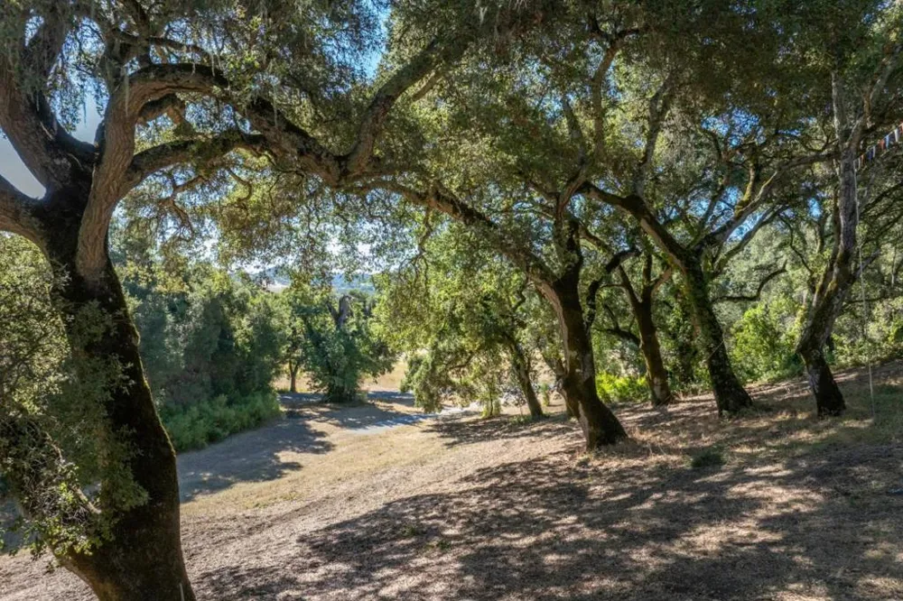 3 Rumsen Trace Carmel, CA 93923