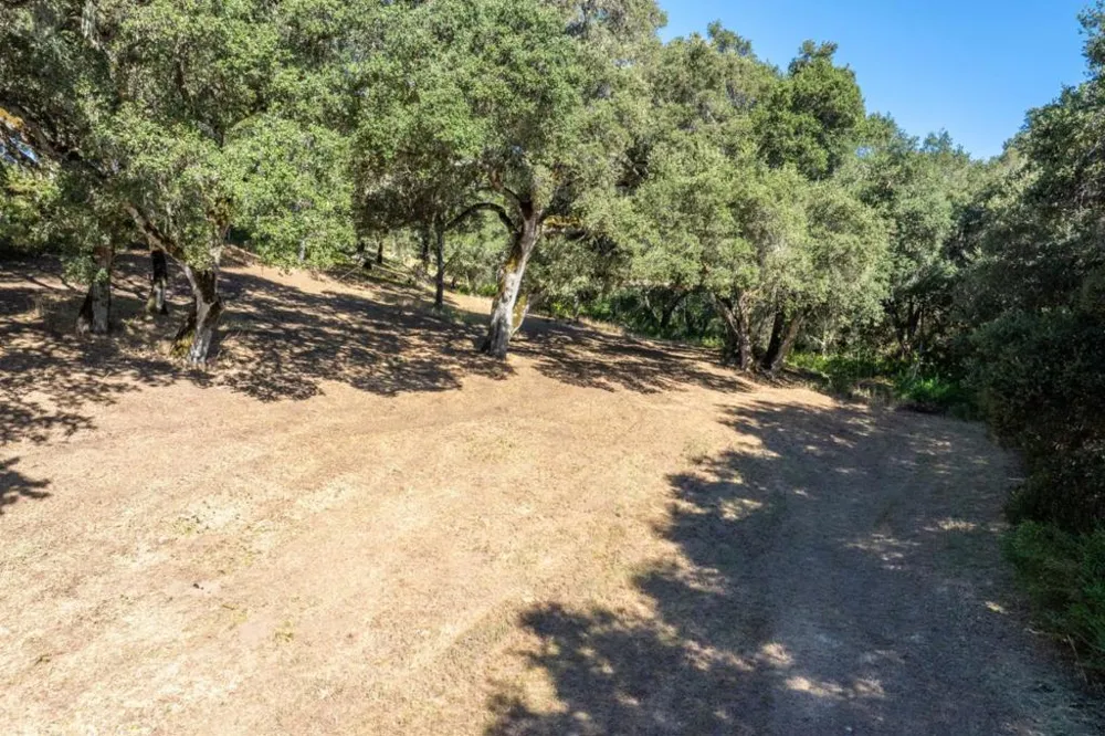 3 Rumsen Trace Carmel, CA 93923