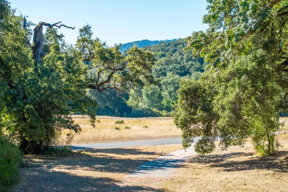 3 Rumsen Trace Carmel, CA 93923