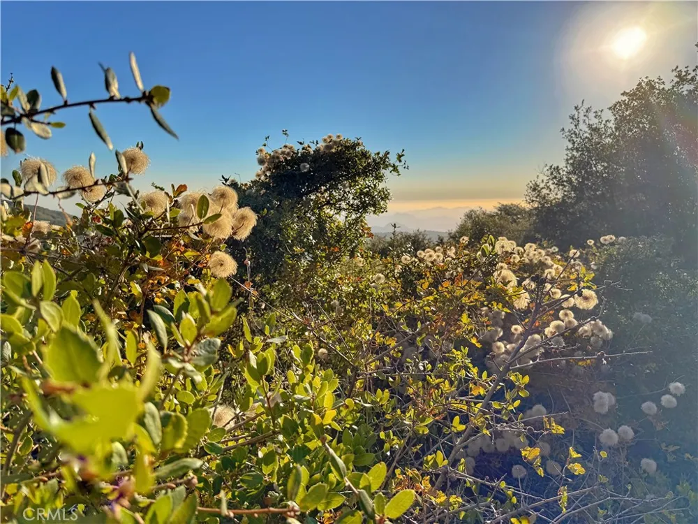 36105 North Peak Julian, CA 92036