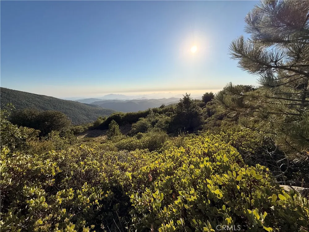 36105 North Peak Julian, CA 92036