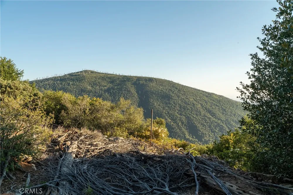 36105 North Peak Julian, CA 92036