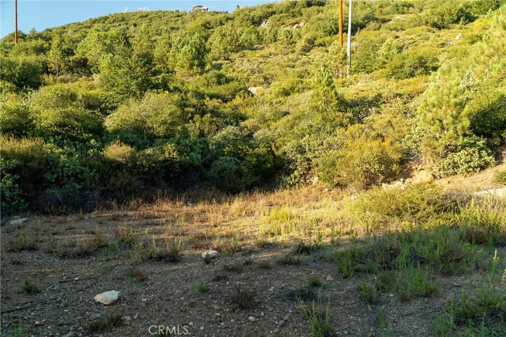 36105 North Peak Julian, CA 92036