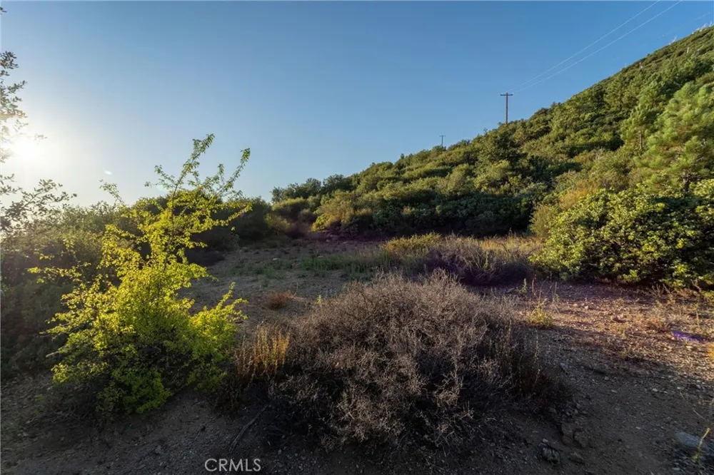 36105 North Peak Julian, CA 92036
