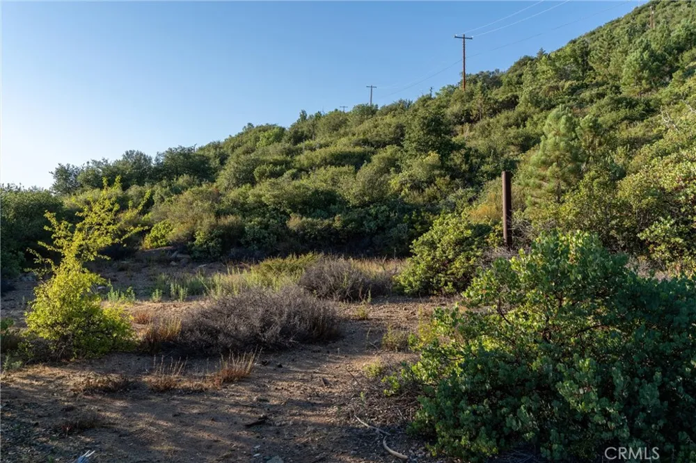 36105 North Peak Julian, CA 92036