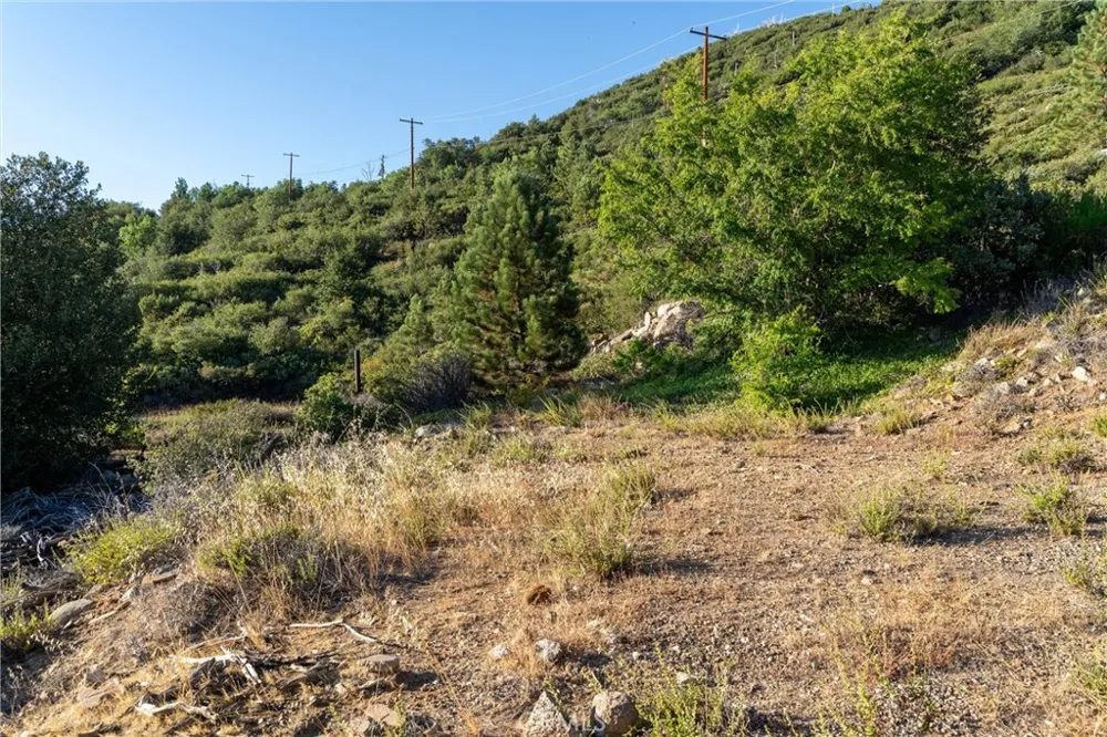 36105 North Peak Julian, CA 92036