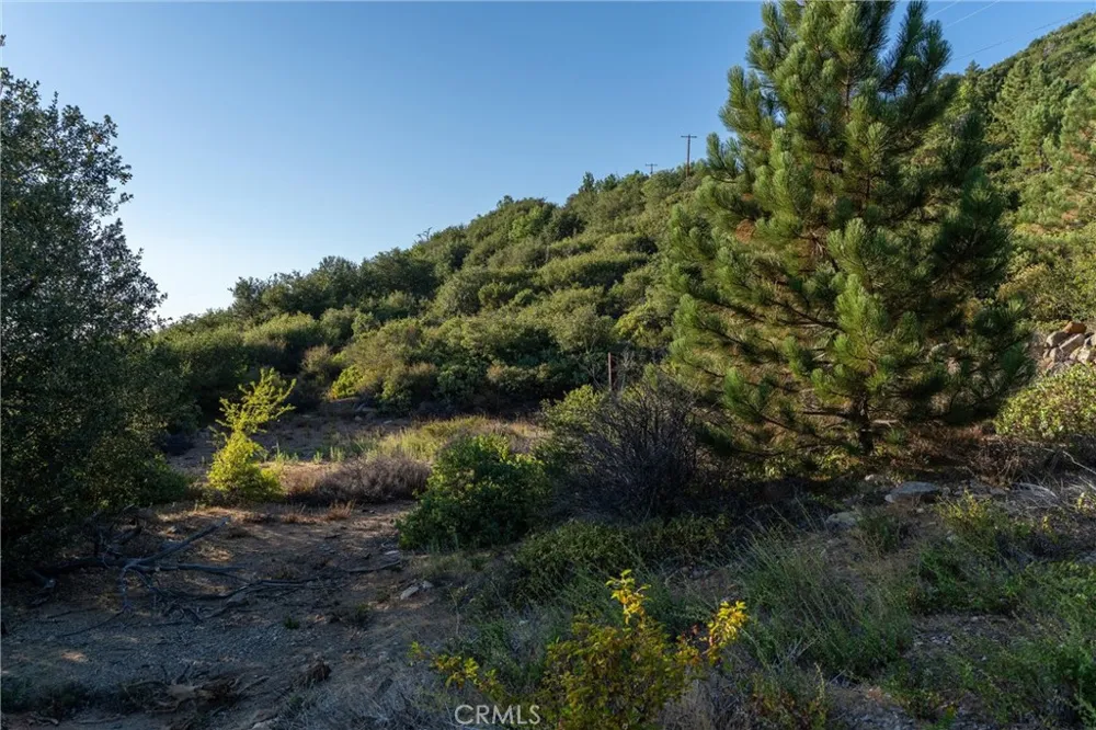 36105 North Peak Julian, CA 92036