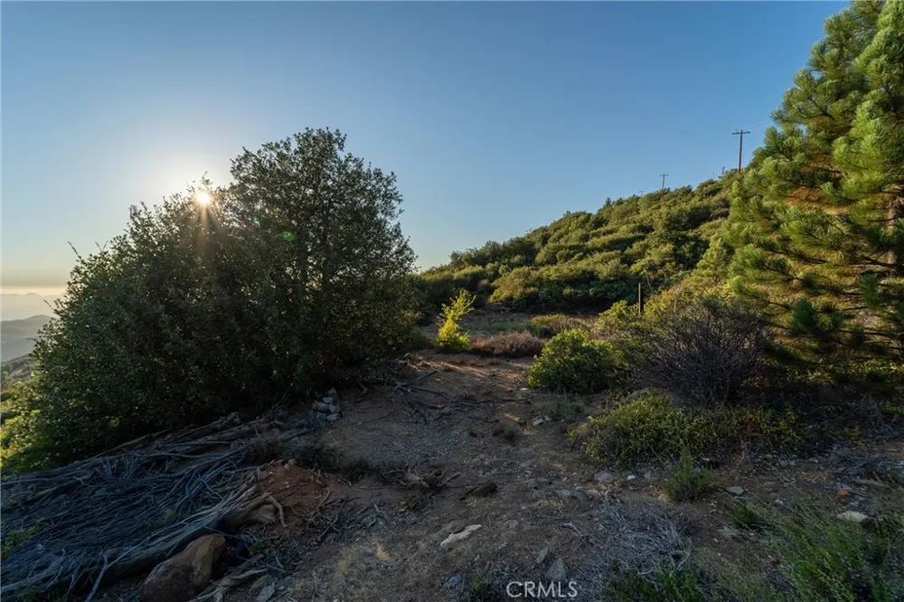 36105 North Peak Julian, CA 92036