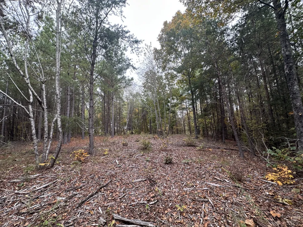316 Arbor Linden, TN 37096