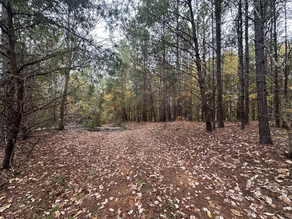 316 Arbor Linden, TN 37096